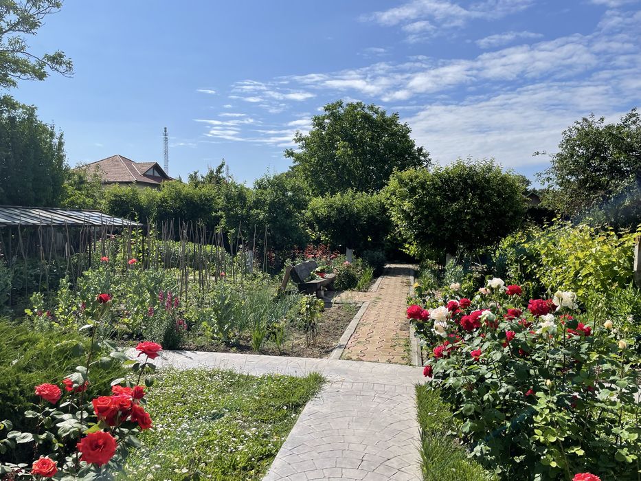 Casa de vanzare cu curte