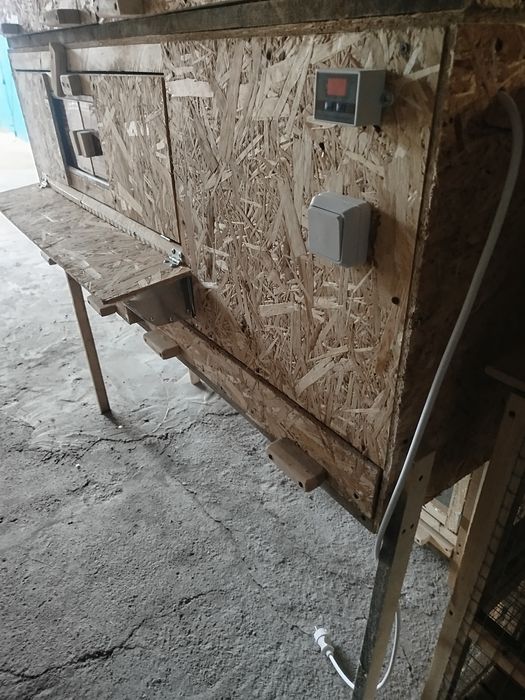 Брудер для цыплят большой