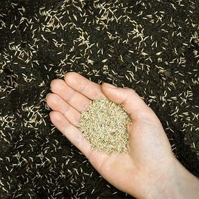 Садовник газон Ташкент Богбон.