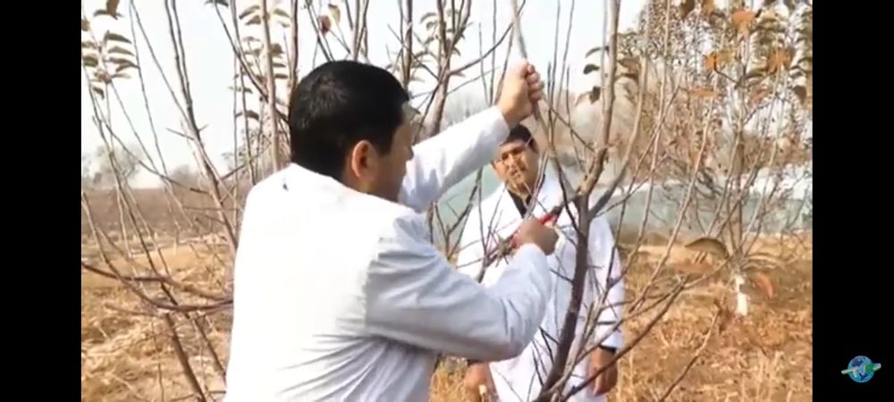 Bogbon agranom xizmati