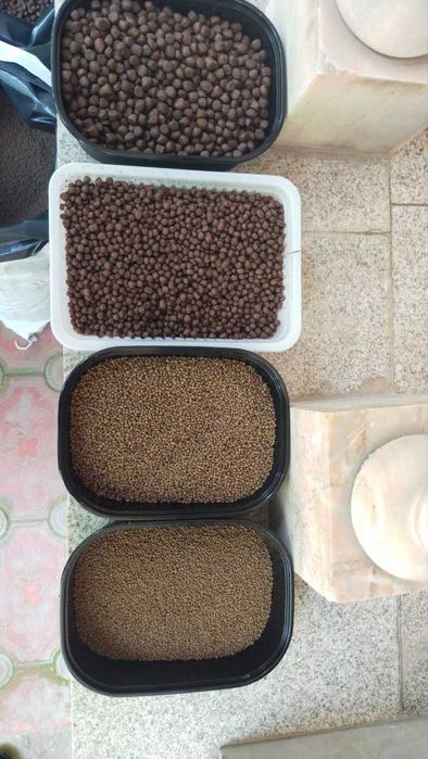 Baliq yemi, Eron davlatida ishlab chiqarilgan Behdaneh yemlari sotuvda