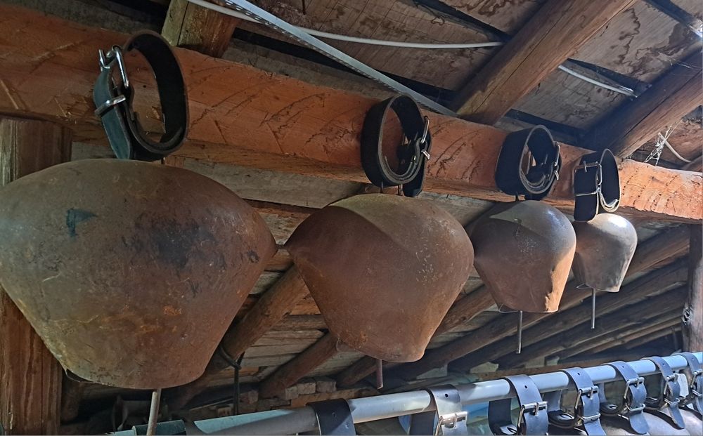 Хлопки 4 броя гголеми.  Чан. Чанове