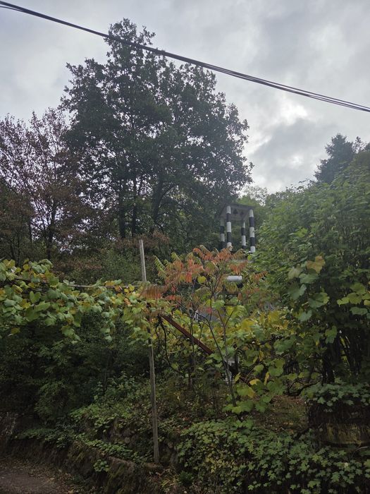 Рязане и кастрене на опасни дървета