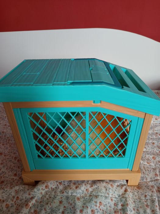 Морско свинче с 3 изненади