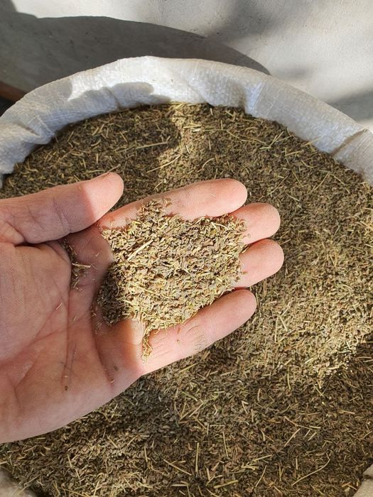 Sabzi uruģi sotiladi