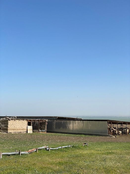 Фазенда в Акыртобе