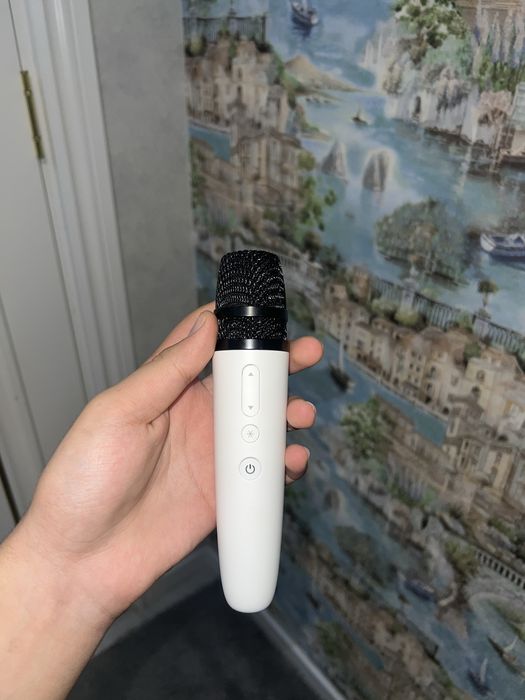 Микрофон от byd champion