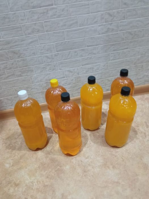 Мёд Катон-Карагайский