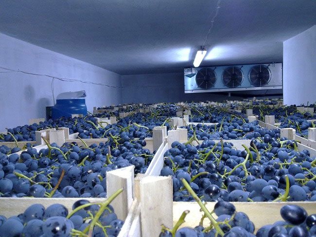 Холодильные склады под ключ