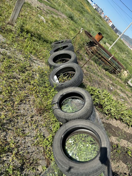 Продаю шины