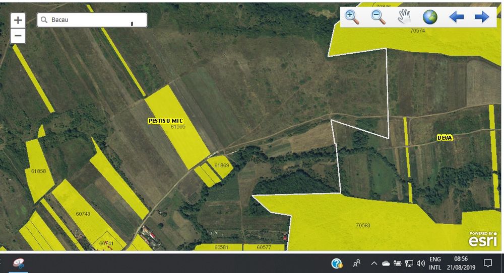 1,7 ha de teren, expunere sud,  pentru casă în livadă