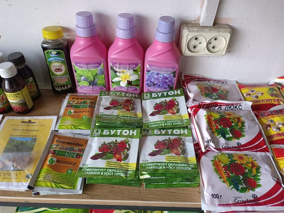 Agro dorilar gul daraxt ko'chat urug'lar