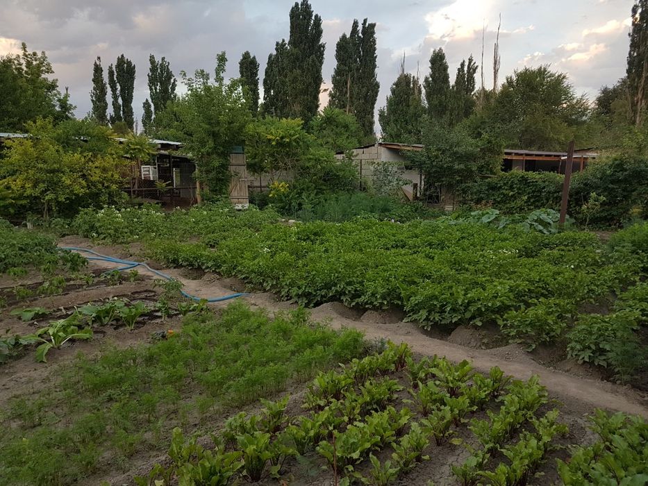 Продам дом в Акыртобе