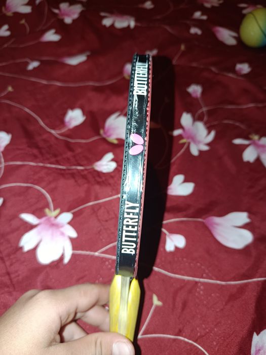Vand paleta de ping pong butterfly timo boll sg55