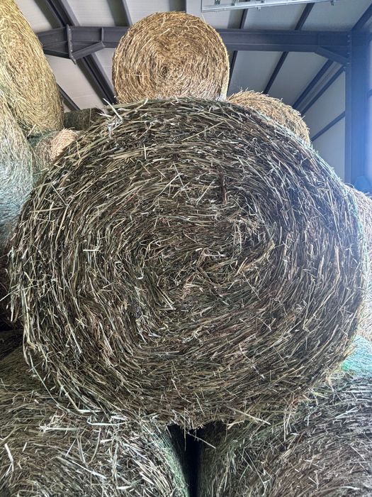 Продавам люцерна