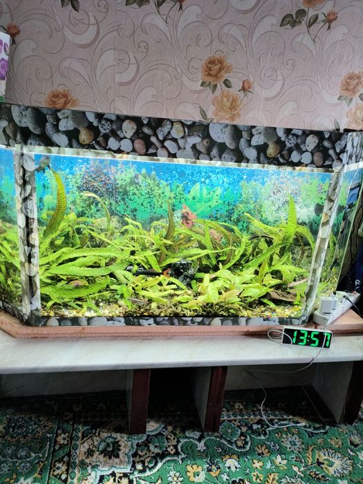 Продам 2 аквариум 240л