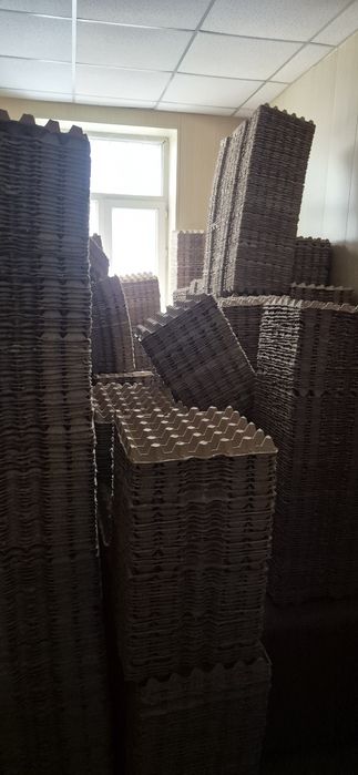 Лотки для яиц (каретка)