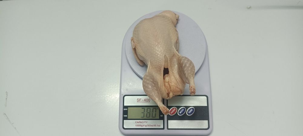 Продам мясо перепёлки