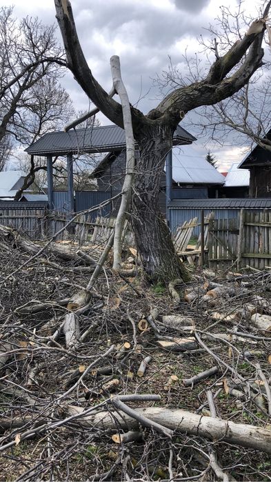 Car baloti ,crengi moloz etc de la domiciliu