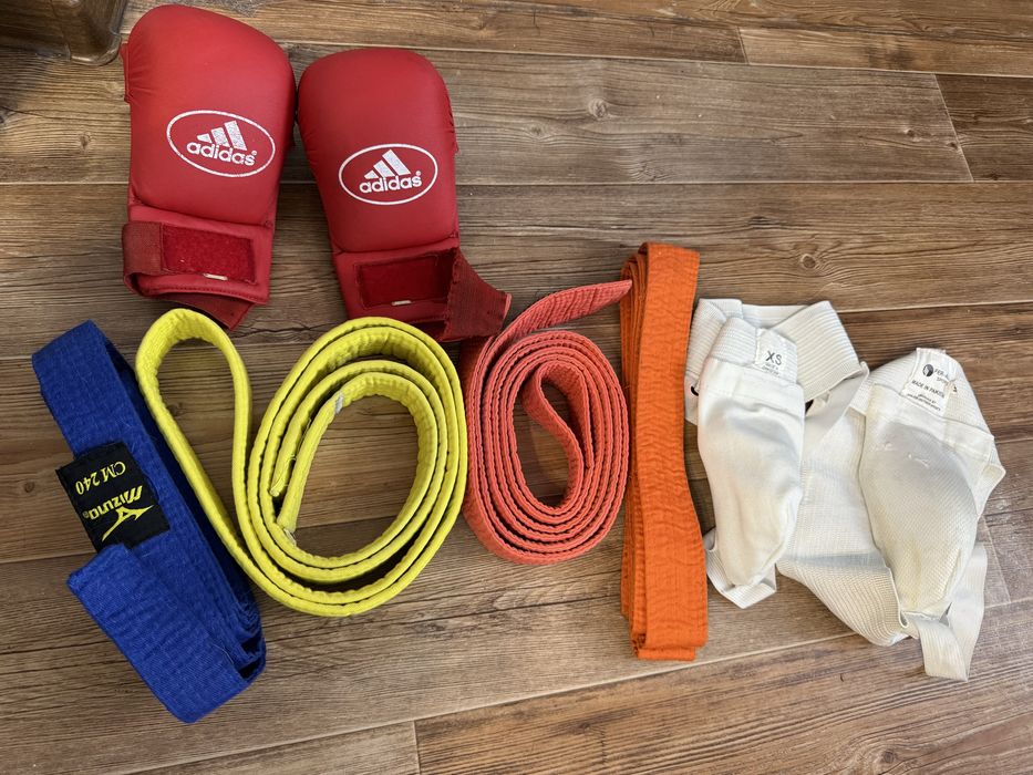 Карате бокс спорт