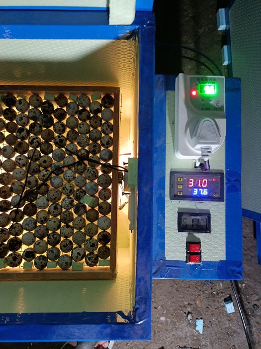 Inkubtor 12v/220volt