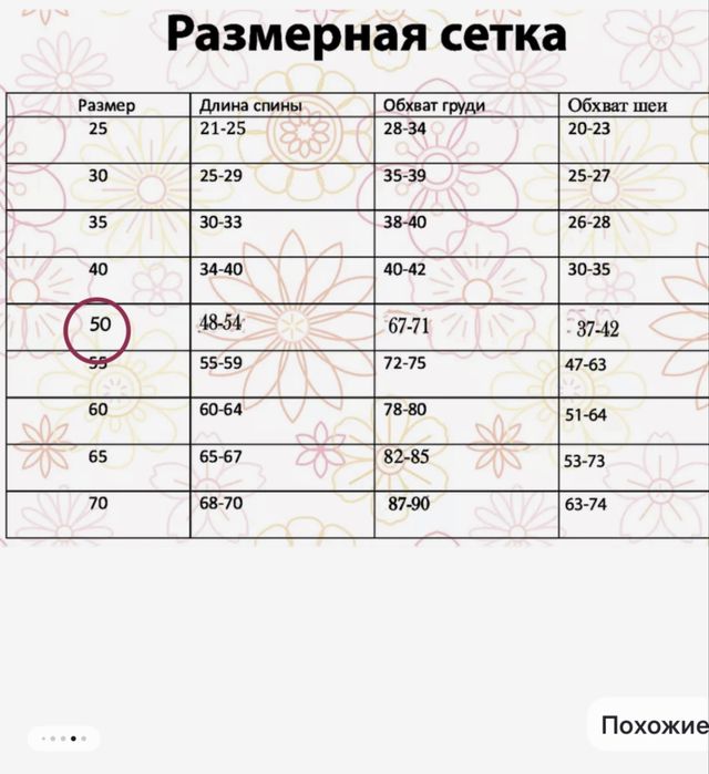 Одежда для собак