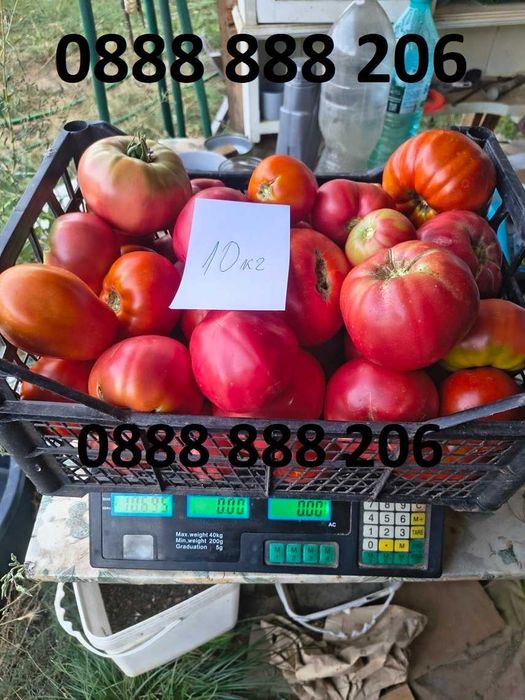 Продавам вкусни домати.