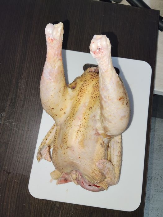 Rațe mute și rățoi  2025