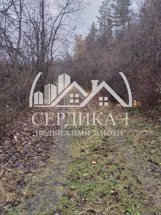 Продава се Къща в с. Мламолово, Област Кюстендил - 234 кв.м за 153 €/кв.м - Снимка #10