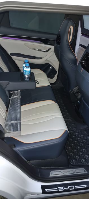 BYD song plus champion