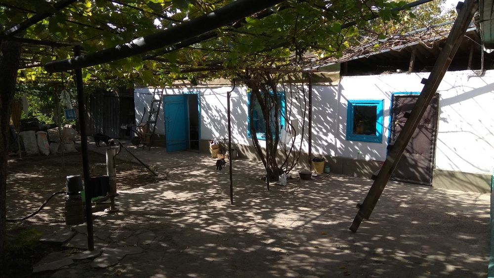 Продам дом в чилике