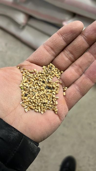 Отруби Овес Зерноотходы Отходы корм