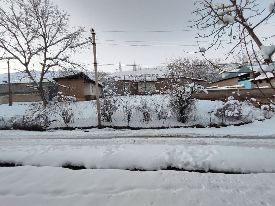 14 sutix yer sotiladi