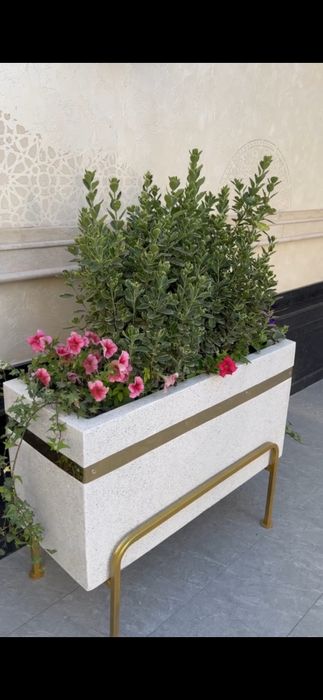 Skameyka, Vazon, Urna