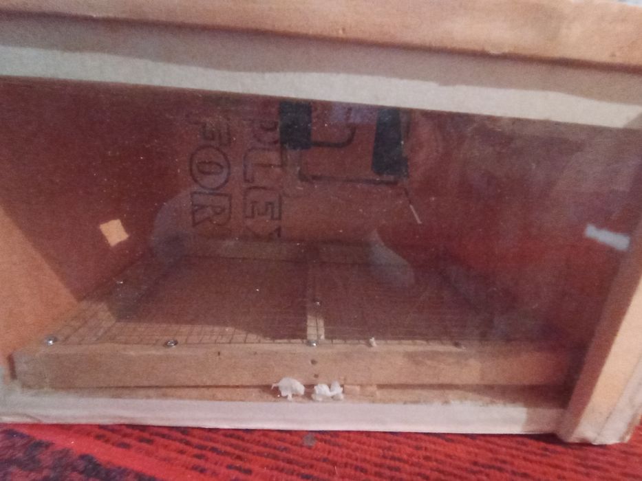 ИНКУБАТОР сатылады