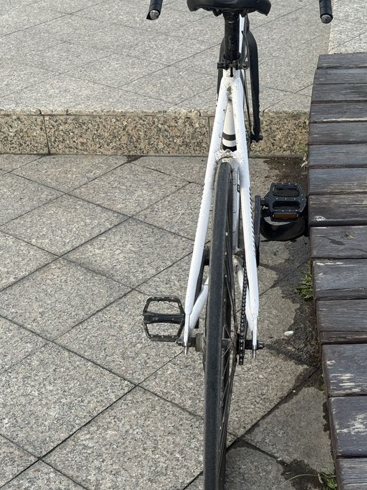 fixed-gear , gray team ,