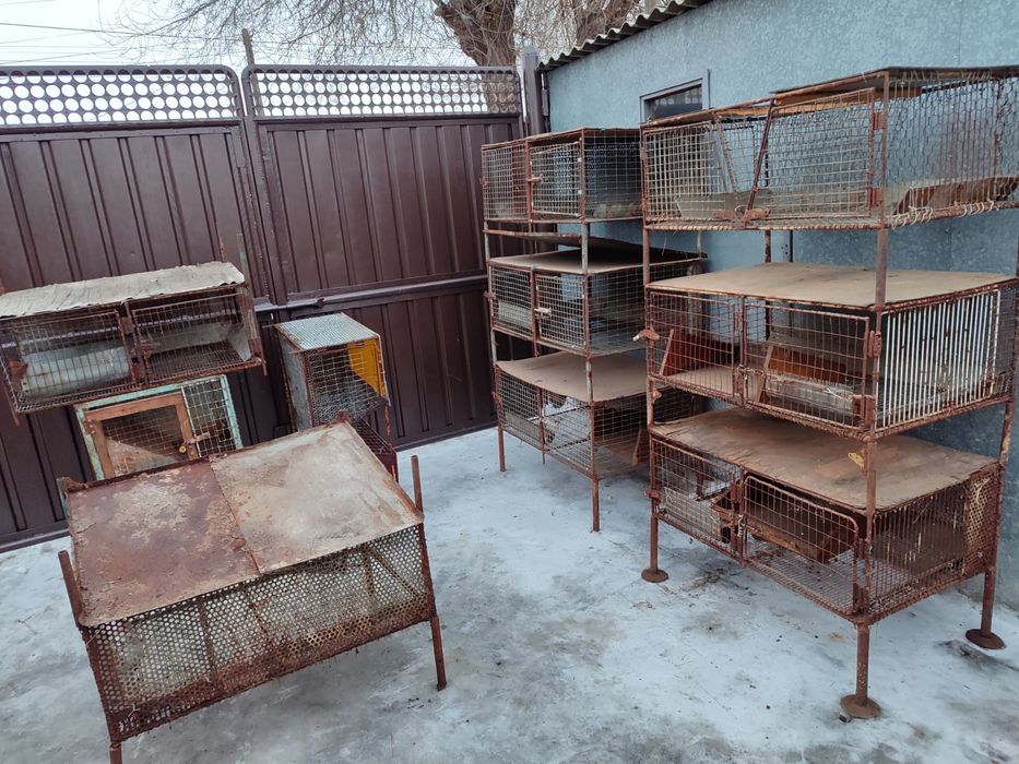 Клетки для кроликов !