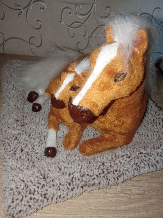 Жылқы   аксесуар