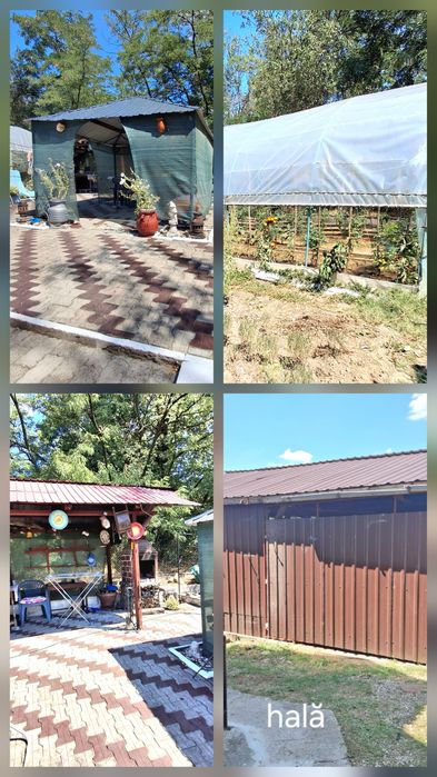 Proprietar, Vand casa