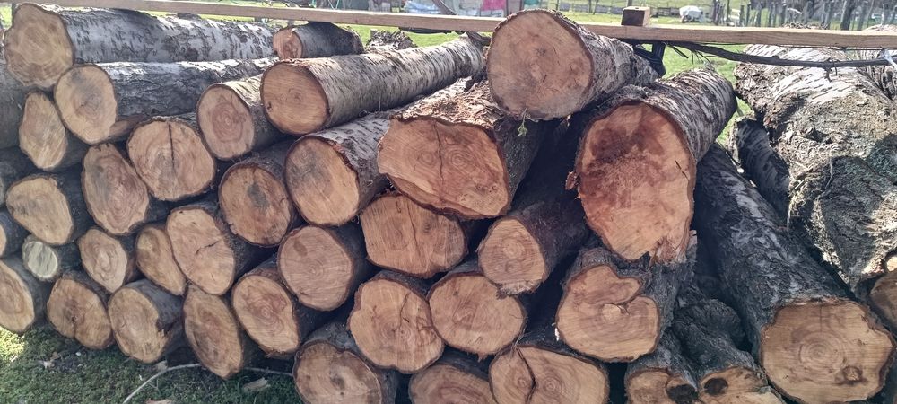 Дърва за огрев от Синя слива