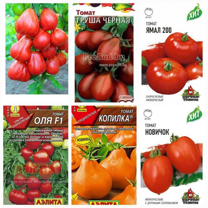 Рассада овощей и цветов