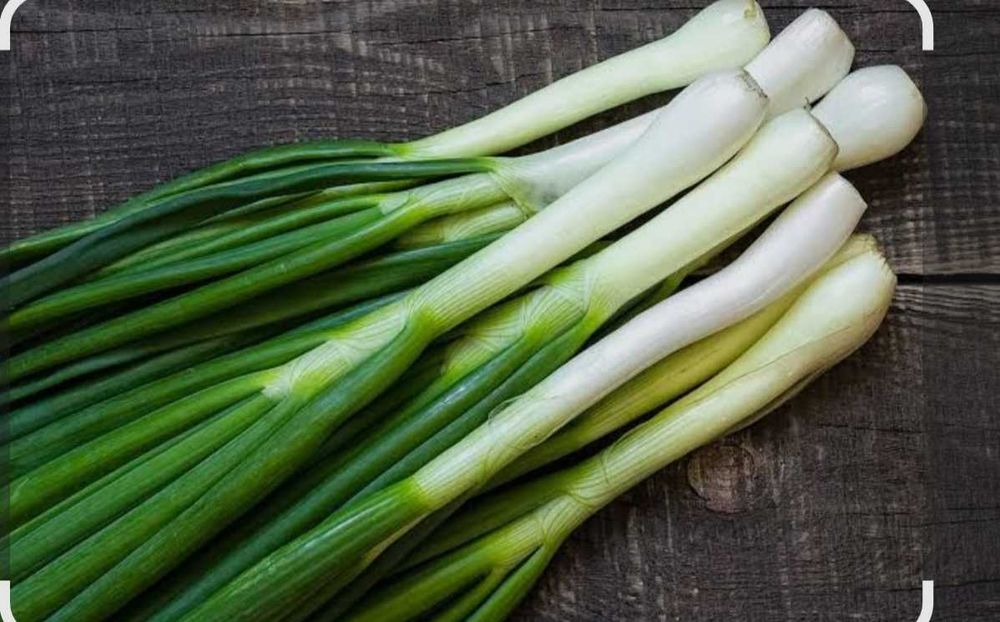 Продам зелёный лук