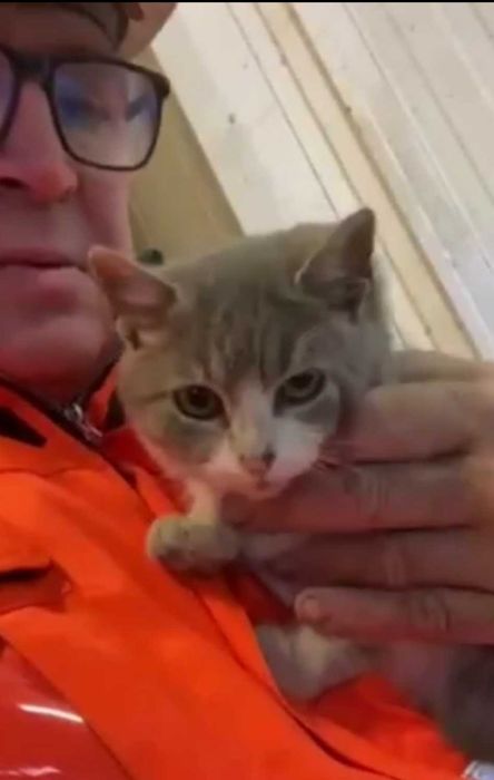 3/4-месечно момиченце от Враца търси дом!