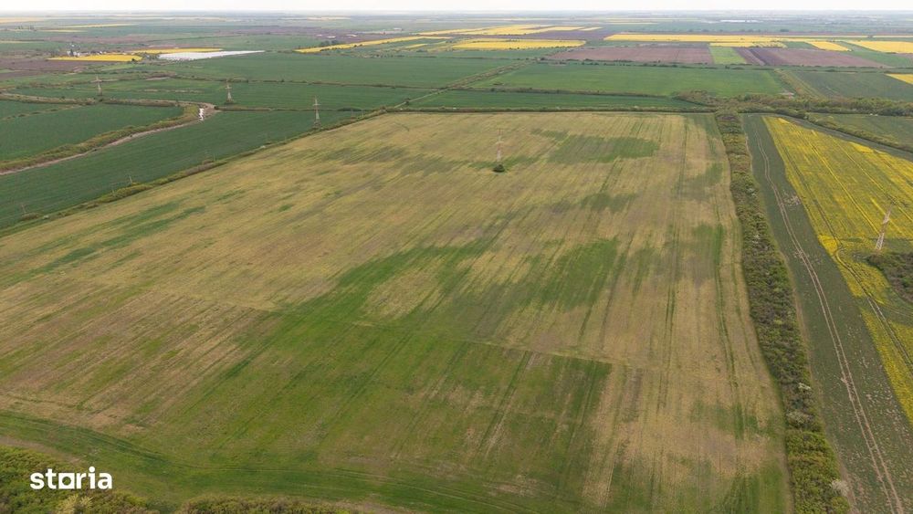 Teren investițional strategic 44.700 mp Arad Vest