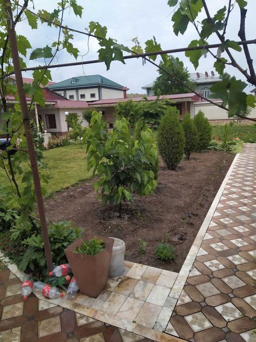 Олтинтепа(Циолковская).Продам дом на 10сотках.Фасад 35м.Можно по 6сот.