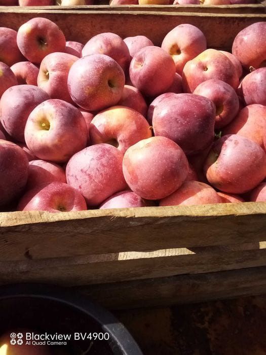 Mere din productie proprie Florina