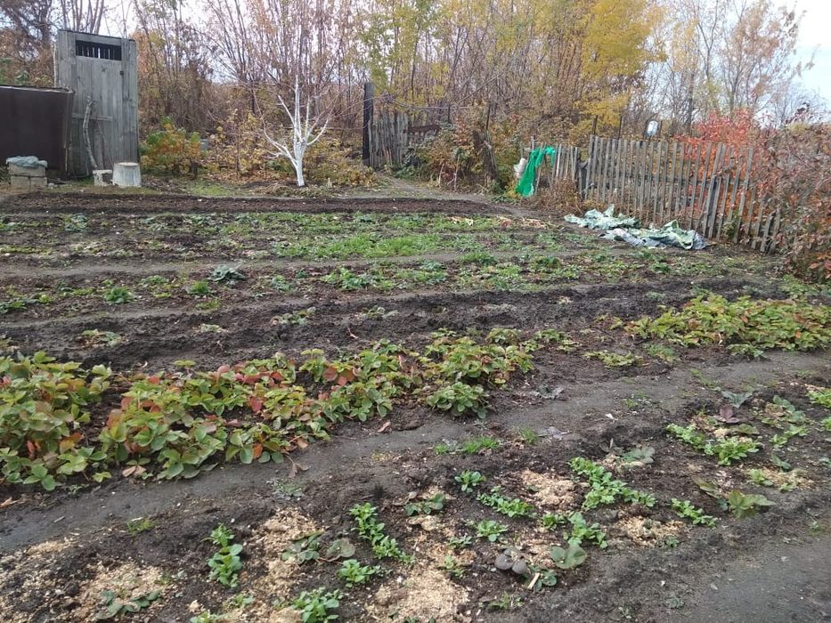 Дача в СО Тимирязева, Затобольск