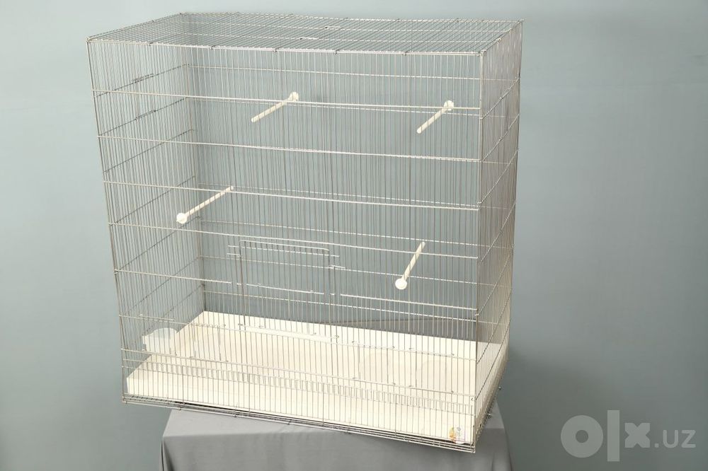 Qafaslar optim keng asartimey birts home