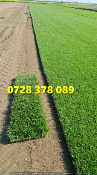 Gazon / Insamantare / Rulouri de Gazon