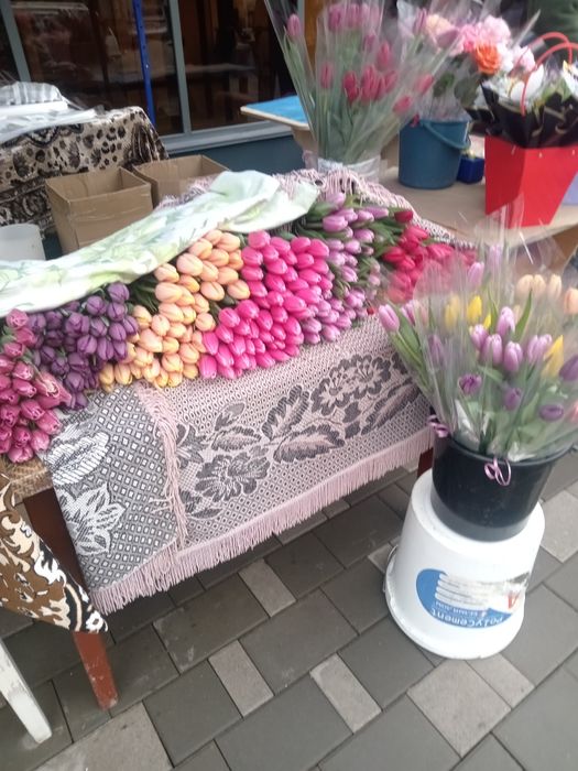 Тюльпаны на 8 марта доставка